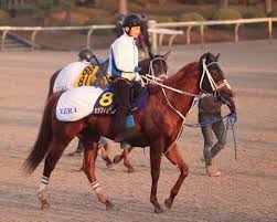 News source: Yahoo!ニュース