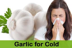 Image result for Eating Garlic Prevent or Cure Common Cold and Flu