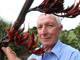 Tui food: Councillor Pete Jerram asks people to keep an eye out for tui ... - 4489793