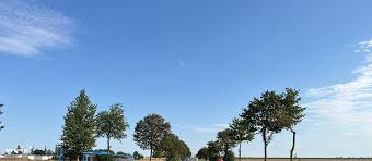 linienbus