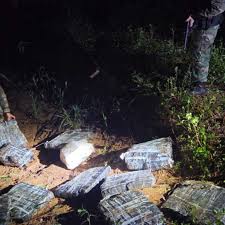 ¡Golpe al Narcotráfico! Prefectura incauta $500M en Misiones