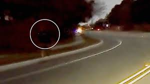 Camila Mendoza Olmos