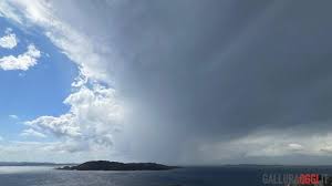 Gallura Oggi - News update