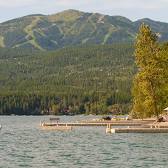 Whitefish