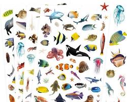 tropical fish stickersの画像