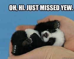 Image result for hi meme