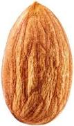 Image result for almonds