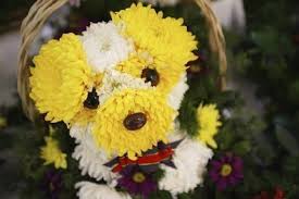 Ένα λουλουδένιο σκυλάκι...
