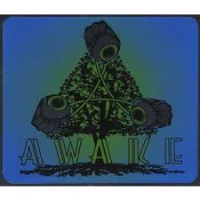 Gwen Mitchell: Awake (CD) – jpc - 0634479234286