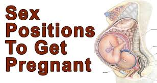 Image result for positions to get pregnant fast