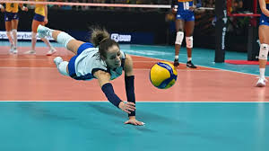 Tribuna di Treviso - News update