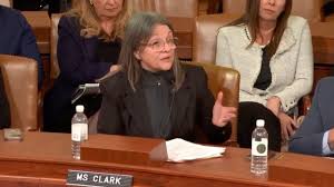 Hospice CEO asks Congress how a provider can operate 'out of a burrito stand in California' with no oversight