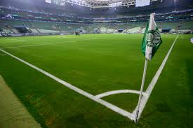 palmeiras