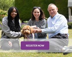 Image of House sitter meeting homeowner and pets