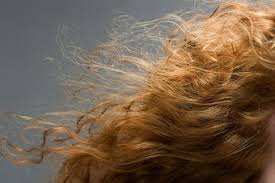 Image result for ‫موی پریشان‬‎