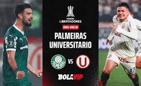Bolavip - News update