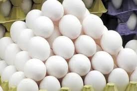 بازار تخم مرغ متعادل است