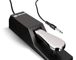 Image of Sustain Pedal