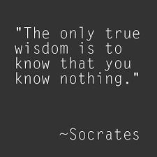 Socrates quote -- &quot;The only true wisdom is to know that you know ... via Relatably.com