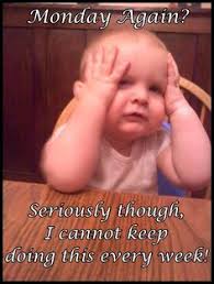 Funny Monday Quotes on Pinterest | Hump Day Quotes, Monday Memes ... via Relatably.com