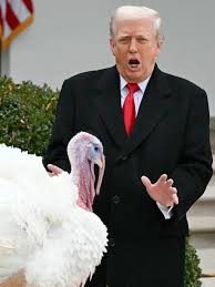 Sabrina Carpenter Had An A+++++ Response To ICE Using Her Song For A Promo Video