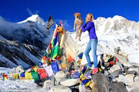 Image result for mount everest
