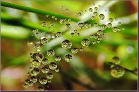 Image result for ‫ عکس های جالب از طبیعت‬‎