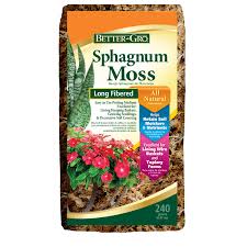 Image result for chilean sphagnum moss