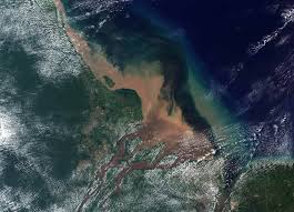Petrobras não descarta perfurações simultâneas em bloco na Foz do Amazonas