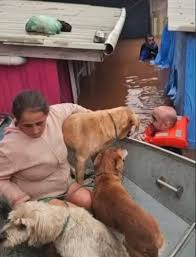 Podcast Notícias – som original | TikTok