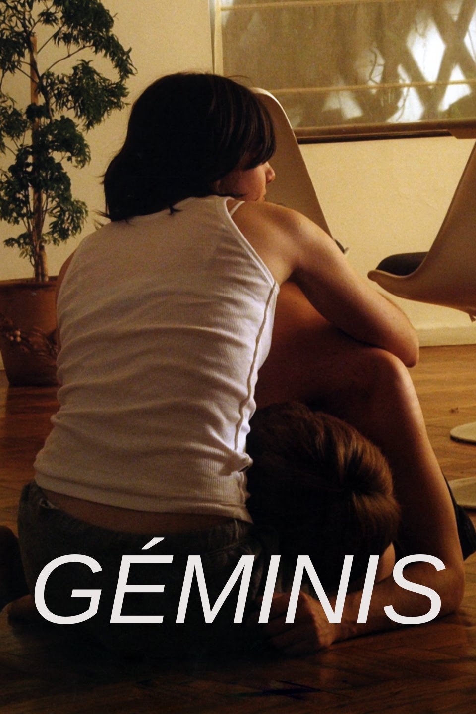 Geminis 2005 UNRATED 720p HEVC DVDRip x265 ESubs Full Spanish Movie