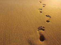 Image result for footprints