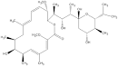 Bafilomycin a1