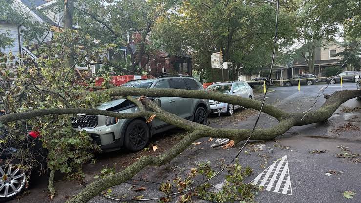 Cleanup continues across Toronto after severe storm floods roads and knocks out power; thousands still without electricity