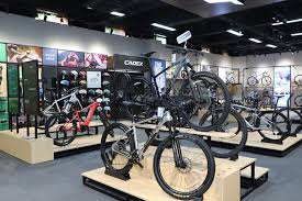 Trend Google: cycling