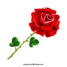 images?q=tbn:ANd9GcSN29_ibEh4n21-E18nD4RpxbGZfkAd7vuzEPgHYzvQoFUa2UdjlQ