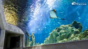 Vacaciones en Guadalajara: Acuario Michin tendrá boletos a 99 pesos; así puedes aprovechar la promo