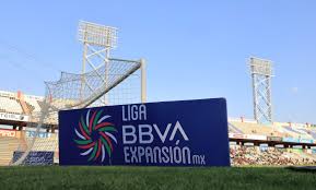 Este domingo la Liga de Expansión conocerá a sus finalistas