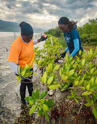 The Pew Charitable Trusts - News update
