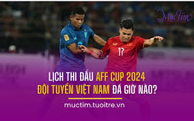 Lịch thi đấu AFF CUP 2024: Đội tuyển Việt Nam đá giờ nào?