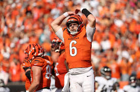 Future Prospects for the Bengals