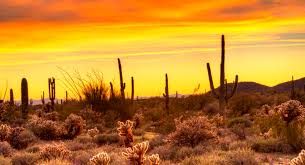 Clima en Hermosillo HOY 20 de mayo de 2026: Advierten calor de 35°C y fuertes rachas de viento
