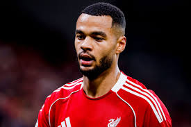 Cody Gakpo injury latest for Liverpool vs Wolves