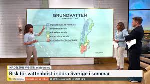 Risk för vattenbrist i södra Sverige i sommar 2 min 59 sek