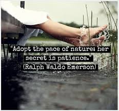 Ralph Waldo Emerson Nature Quotes. QuotesGram via Relatably.com