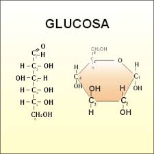 Resultado de imagen de biomoleculas formulas quimicas