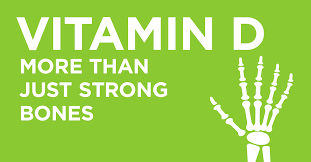 Image result for vitamin d