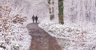 26 outdoor winter wonders in Essex including beaches and vineyards