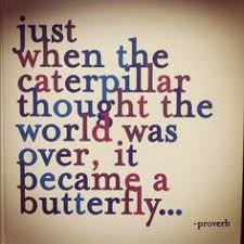 Image result for trying times quotes