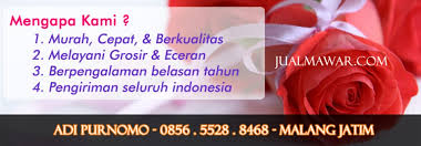 Image result for karangan bunga mawar biru
